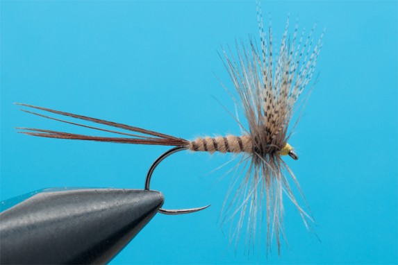 cdc mayfly for trout 9