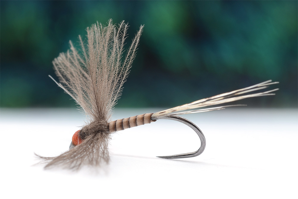 Tying a CDC Spent Fly