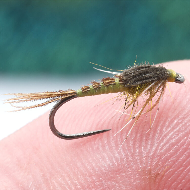 Video Tying a bi-colored PT nymph